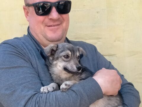 Щеня Дарсі знайшло свою родину
